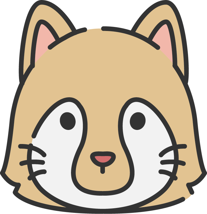 あらいぐま
